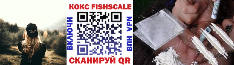 где найти Заводоуковск COCAIN Эквадор