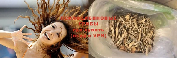 apvp Алексин