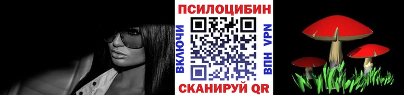 закладки  Заводоуковск  Галлюциногенные грибы мухоморы 