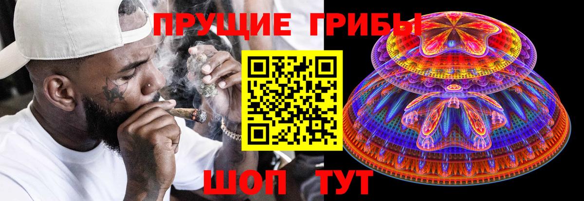 Псилоцибиновые грибы Cubensis Заводоуковск